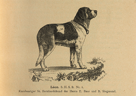 Abbildung von Léon, dem ersten registrierten Hund im Schweizerischen Hunde-Stammbuch.