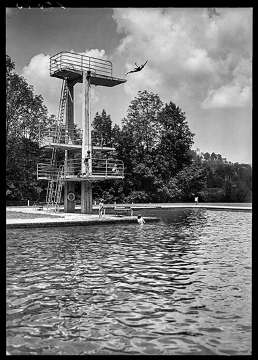 A diver performing a swan dive from the diving board of an open-air pool