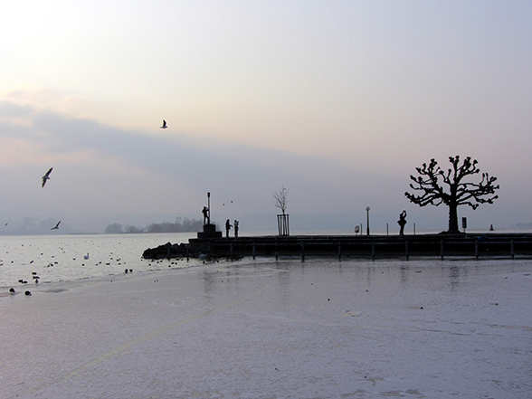L’étendue semi-gelée du lac de Zurich est brisée par la digue du port de Rapperswil, dans le canton de Saint-Gall. On aperçoit sur la digue apparaissent quatre silhouettes humaines près d’un très jeune arbre et d’un autre arbre, plus vieux. Dans le coin gauche de l’image, des mouettes planent au-dessus du lac de Zurich.