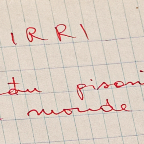 Schriften zum IRRI-Projekt 