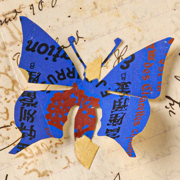 Schmetterling